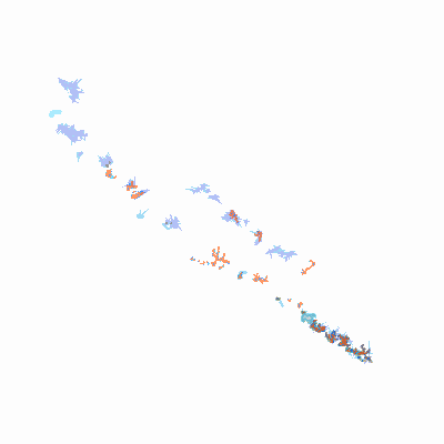 Export Image